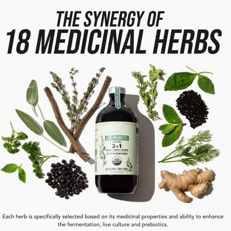 Live Probiotic 3 in 1 with 18 medicinal herbs, organic fermented supplement for gut health