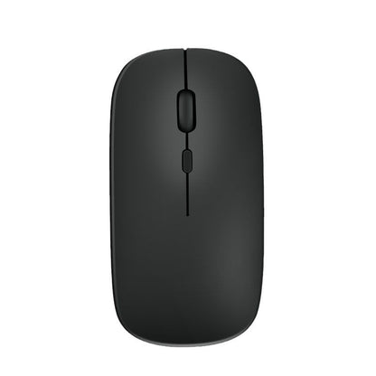 Black computer mouse on a white background