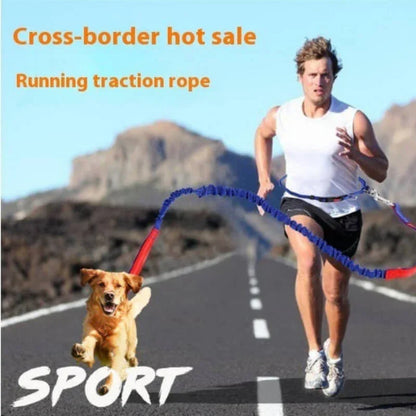 Man running on road with dog using hands-free running traction rope, outdoor fitness gear
