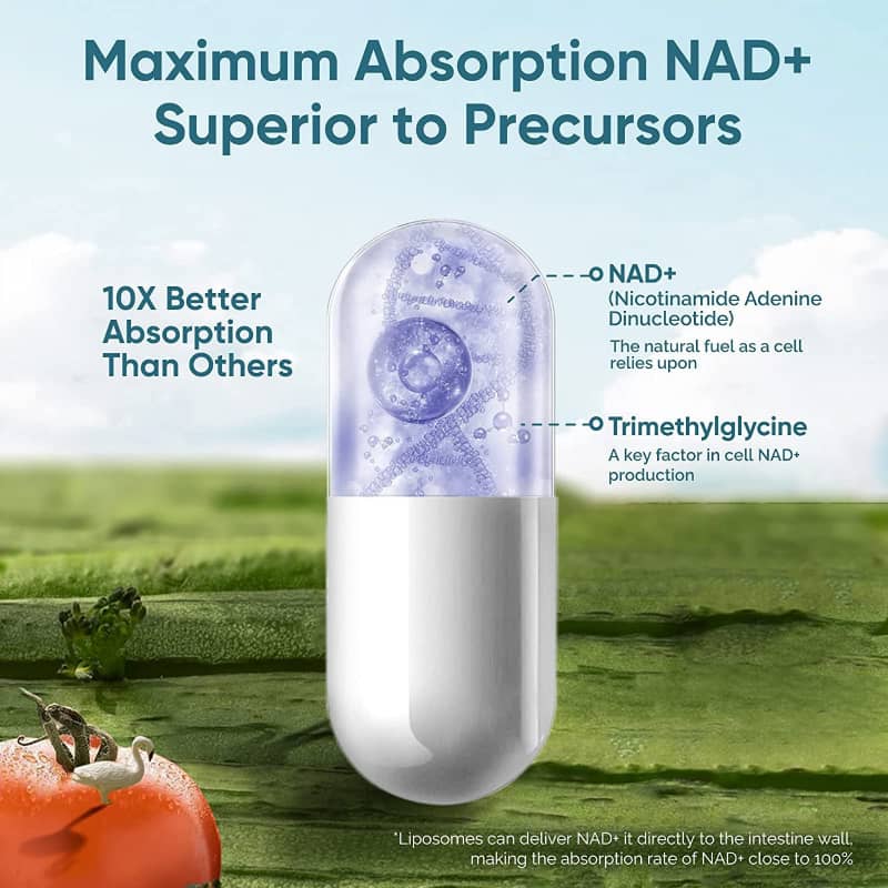 NAD+ Capsules – Cellular Energy, Anti-Aging & Longevity Support
