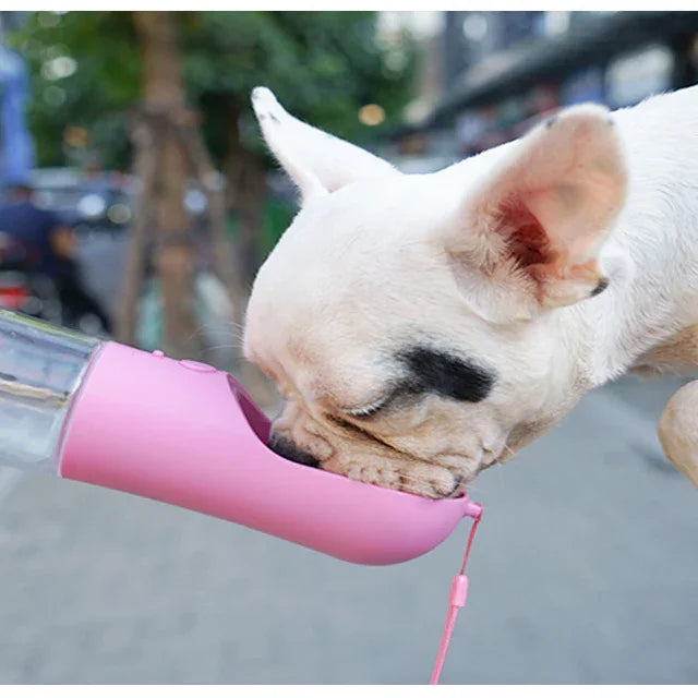White dog drinking water from a portable pink pet water bottle outdoors