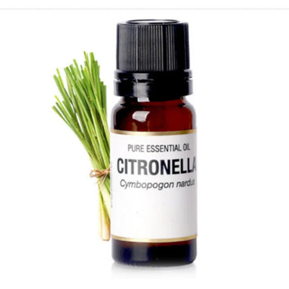 Bottle of citronella essential oil with a bundle of green leaves on a white background