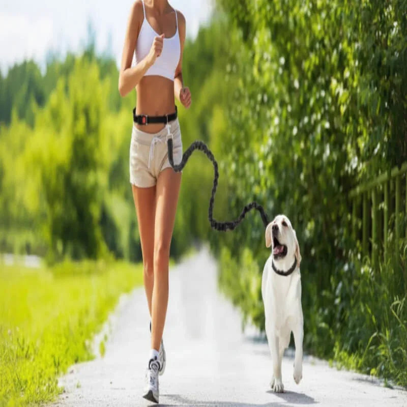 Woman jogging outdoors with dog on hands-free running leash