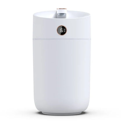Air Humidifier [Private Listing U534579]