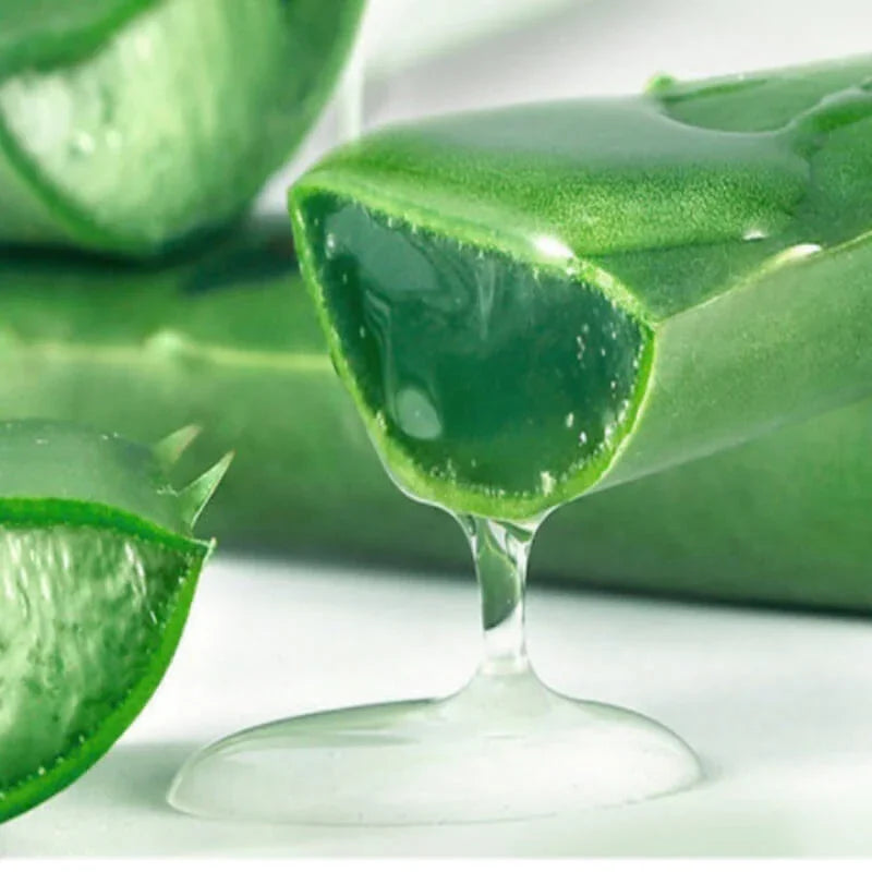Fresh aloe vera leaf cut open with clear gel dripping out, natural skincare ingredient
