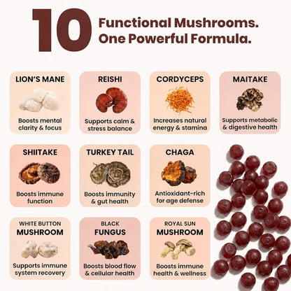 Illustration of 10 functional mushrooms with their benefits on a white background.