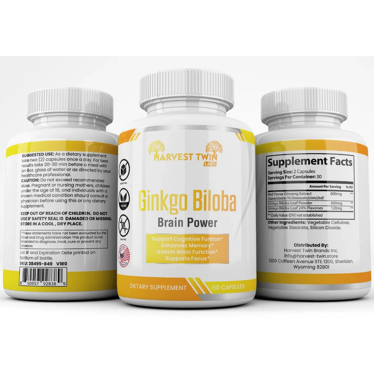Ginkgo Biloba Brain Power 60 Capsules by Harvest Twin Labs – supports cognitive function, memory, focus and mental clarity – vegan, sugar-free, GMO-free dietary supplement