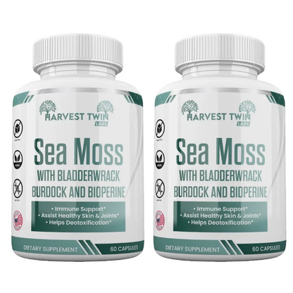 Two white supplement bottles side by side labeled Harvest Twin Labs Sea Moss with Bladderwrack, Burdock, and Bioperine, on a plain white background.