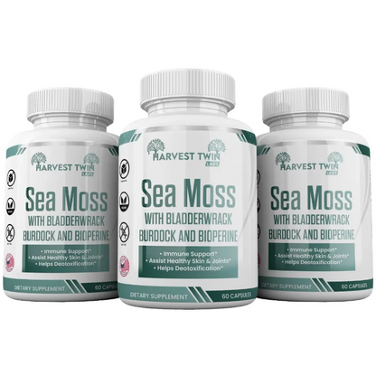 Three supplement bottles of Harvest Twin Sea Moss dietary supplement arranged side by side on a white background.
