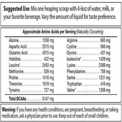 Absolute Whey Protein — 25g Cold-Processed Whey | Muscle Recovery & Growth