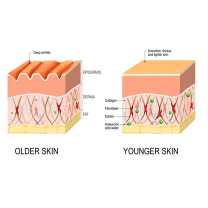 Anti-wrinkle Fine Line-fading Lifting And Firming Skin Care - Hi Fitness Gym Crop Tank Top Leggings Set - Hi Fitness