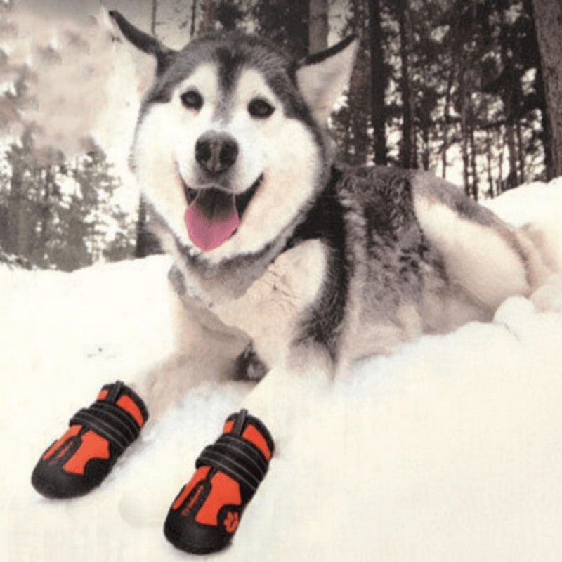 Non-Slip Waterproof Dog Shoes – Reflective Pet Boots for Large Dogs