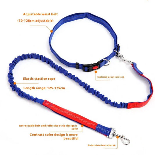 Adjustable blue and red hands-free dog leash with waist belt, elastic traction rope, and metal clips.