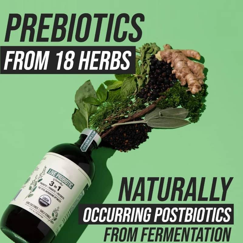 Live probiotic supplement bottle with fresh herbs and ginger, highlighting prebiotics and postbiotics.