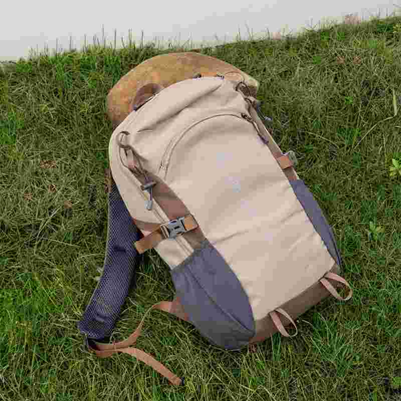 Two backpacks, one beige and one blue, on a grassy surface.