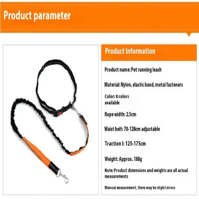 Adjustable pet running leash with bungee cord, waist belt, and metal fasteners for outdoor exercise